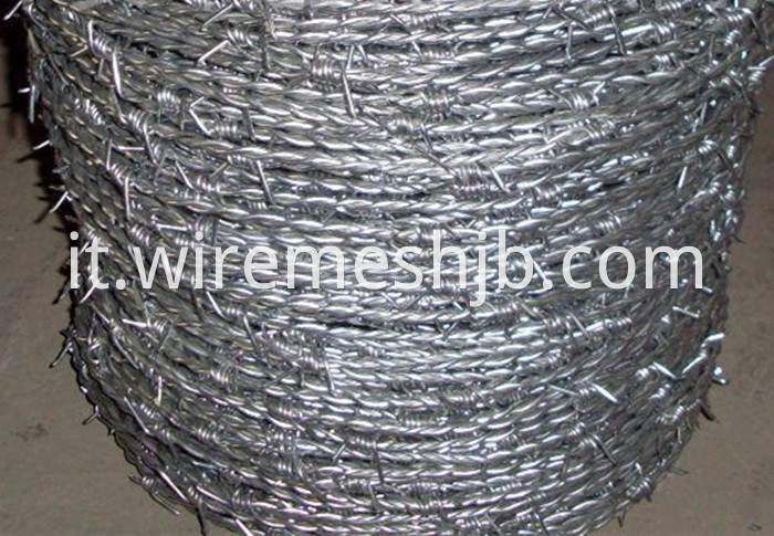 Barbed Wire Double Strand